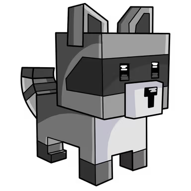 Raccoon
